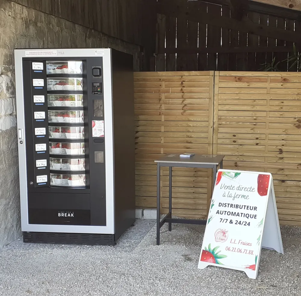 distributeur-de-fraises-ll-fraises-villeseneux