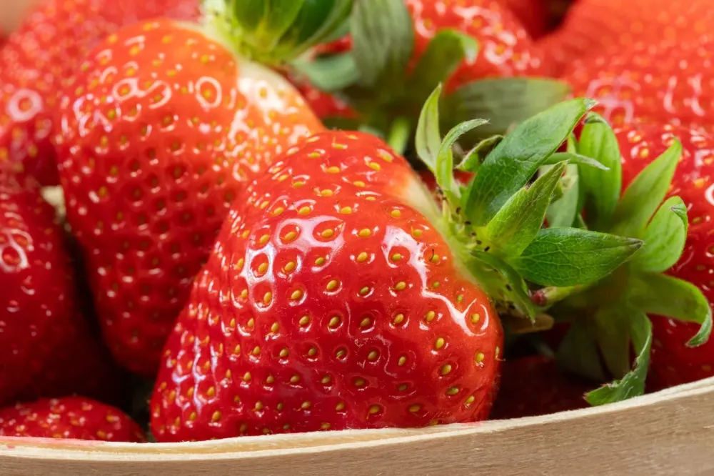 Acheter des fraises à Villeseneux